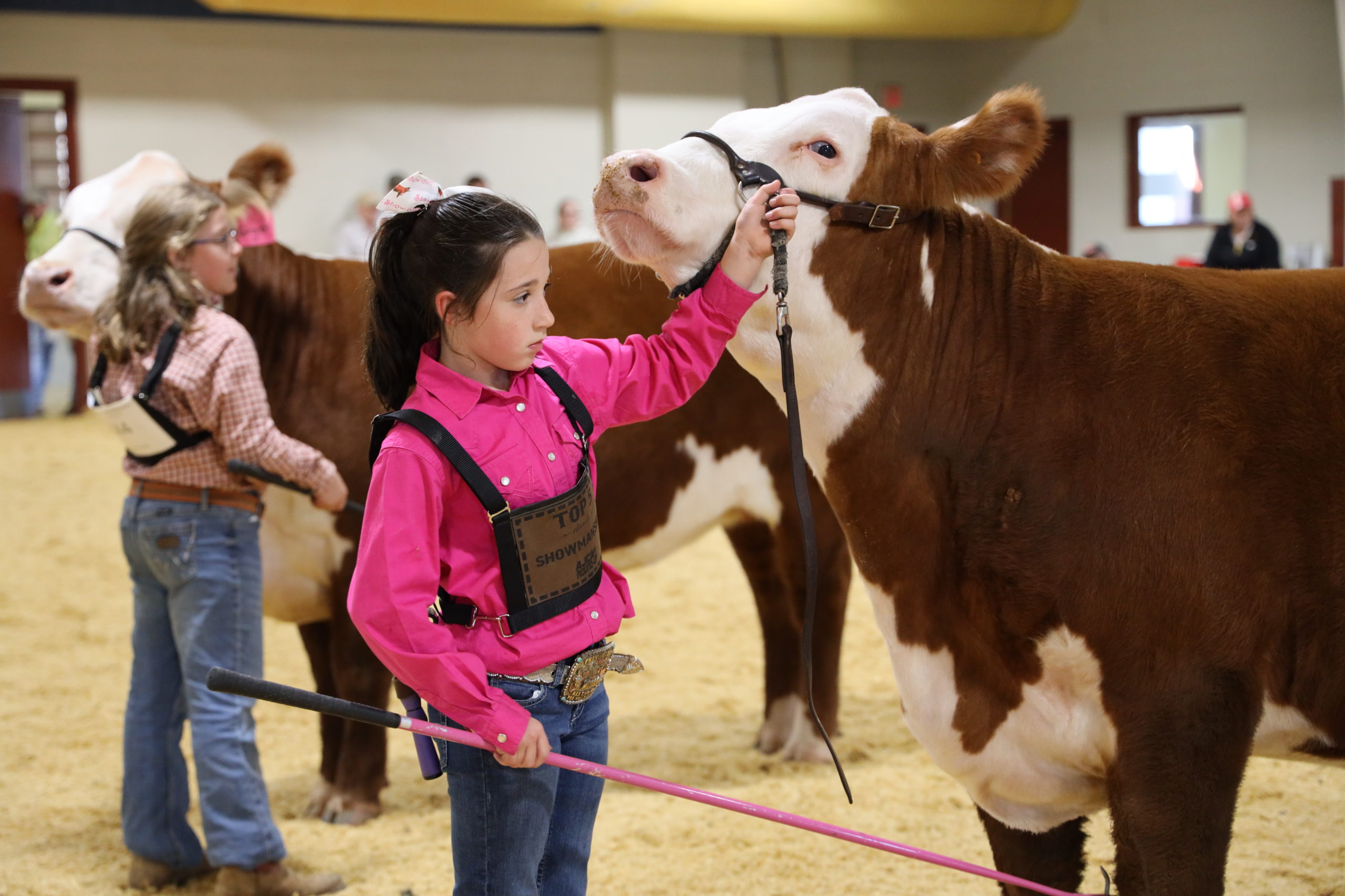 For some families, showing prized livestock at the Big E is a 3