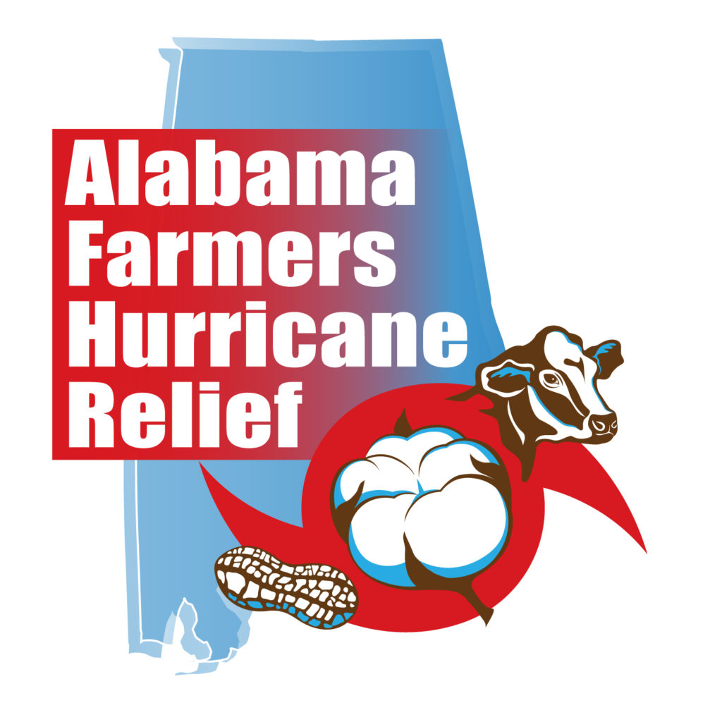 Hurricane Relief Graphic