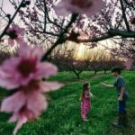 Beverly Jones of Bibb County captured the winning photo on their family peach orchard.